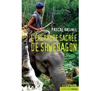 L'émeraude sacrée de Shwedagon - Pascal Vatinel - Actes Sud Jeunesse - broché - Roman adolescent dès 13 ans