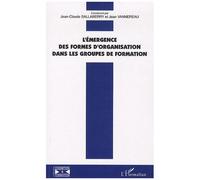 L'émergence Des Formes D'organisation Dans Les Groupes De Formation