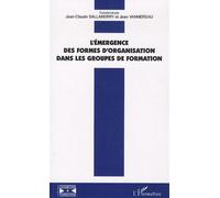 L'émergence Des Formes D'organisation Dans Les Groupes De Formation