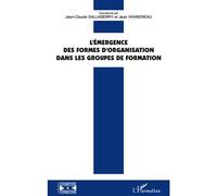 L'émergence des formes d'organisation dans les groupes de formation - Jean-Claude Sallaberry - L'harmattan - broché - Etude