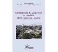 L'émergence Du Cameroun Et Les Défis De La Résilience Urbaine | Occasion