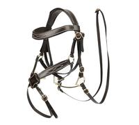 LeMieux Hobby Bride de préhension pour cheval Marron