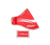 LeMieux Hobby Horse Winners Tapis pour enfants à partir de 3 ans Rouge