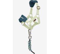 LeMieux Licol et longe de présentation Toy Pony Vogue Collection printemps/été 2026