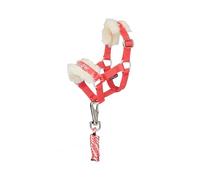 LeMieux Mini licol et longe pour poney Harlow - Coral Crush