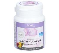 Lemon Pharma Fleurs de Bach chewing-gums Concentration n°41 Bonbon(S) 60 g