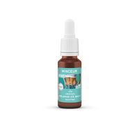 Lemon Pharma Gouttes Bio Fleurs de Bach N°45 Minceur - Soutien pour la clarté intérieure, la sérénité et des routines plus conscientes - vegan, 20 ml
