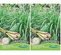 Lemongrass Seeds (Lot de 2)