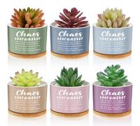 LemonRoad Lot de 12 mini pots de fleurs en céramique avec plateau en bambou pour enseignant, remerciement, remerciement, patron, collègue, conseiller, infirmière, gestionnaire