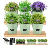 LemonRoad Lot de 6 pots de fleurs d'intérieur avec drainage et plateau en métal avec étiquette à faire soi-même, plateau en bambou, rebord de fenêtre, cuisine, lavande, romarin, légumes (vert sauge