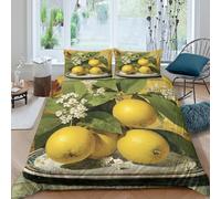 Lemons with flowers Linge de Lit Microfibre 3 Pièces 3D Imprimée Hypoallergique Still life peinture Ensemble De Literie avec Fermeture Éclair Ultra Douce for Chambre Adulte Single（140x200cm）