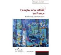 L'emploi non salarié en France: Mutations et transformations