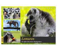 Lemuren die süßen Bewohner Madagaskars (Tischkalender 2026 DIN A5 quer), CALVENDO Monatskalender: Schwarz- weiß, hat auf uns Menschen, eine besondere ... sofort ins Herz schließt wenn man sie sieht