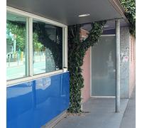 Len Leise - Ing [Import]