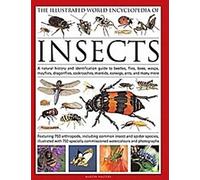 L'encyclopédie mondiale illustrée des insectes