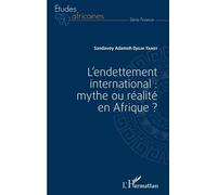 L'endettement International : Mythe Ou Réalité En Afrique ?