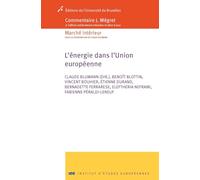 L'énergie dans l'Union européenne