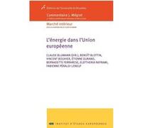L'énergie dans l'Union Européenne: Commentaire Mégret