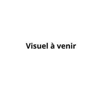 L'énergie de votre prénom - Lydie Castells - Animae - broché - Guide