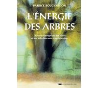 L'énergie des arbres - Le pouvoir énergétique des arbres et leur aide dans notre transformation