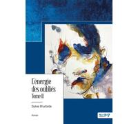 L'énergie des oubliés - Tome II - Sylvie Ithurbide - Nombre 7 - broché - Roman