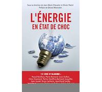 L'énergie en état de choc: 12 cris d'alarme.