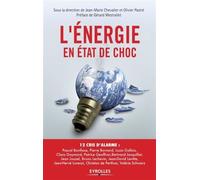 L'énergie en état de choc: 12 cris d'alarme.
