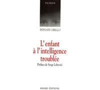 L'Enfant A L'Intelligence Troublee. Nouvelles Perspectives Cliniques Et Therapeutiques En Psychopathologie Cognitive, 7eme Edition 1994