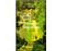 Christian Signol – L'enfant des terres blondes