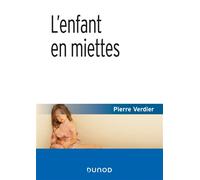 L'enfant en miettes - 4e éd L'aide sociale à l'enfance : bilan et perspectives - Pierre Verdier - Dunod - broché - Guide