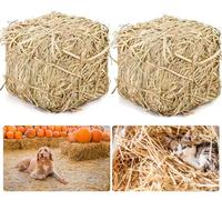 Lengba Balles de paille naturelle pour abri pour chat - 20,3 x 20,3 x 20,3 cm - Literie en paille douce et sèche pour chats, chats sauvages et petits animaux | Balles de foin décoratives pour