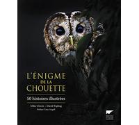 L'énigme de la chouette: 50 histoires illustrées