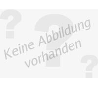 Lenker, Radaufhängung