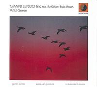 Lenoci Gianni - Wild Geese