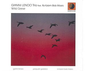 Lenoci Gianni - Wild Geese