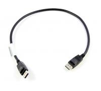 Lenovo 0.5m DisplayPort 0,5 m Noir