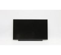 Lenovo 14.0-inch FHD IPS Anti-Glare Display, FRU5D11C12739 (Display)