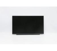 Lenovo 15.6-inch HD TN Display Panel, 220nit Brightness, FRU5D11B81963 (Panel, 220nit Brightness)