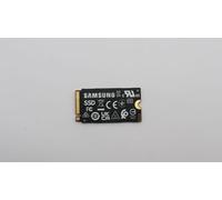 Lenovo 256GB M.2 2242 PCIe 4.0 NVMe SSD, FRU5SS0W79502 (SSD)