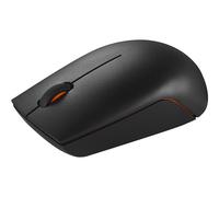 Lenovo 300 Wireless Compact - Souris - avec batterie - optique - 3 boutons - sans fil - 2.4 GHz - récepteur sans fil USB - gris arctique - blister
