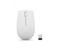 Lenovo 300 WIRELESS - GRAY Souris Ambidextre RF optique sans fil 1000 DPI