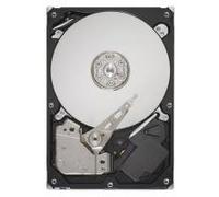 Lenovo 320GB Disk Tray for Systems, FRU04W1304 (Systems)