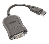 Lenovo 45J7915 Cable DVI liaison simple DisplayPort DVI-D 20 cm