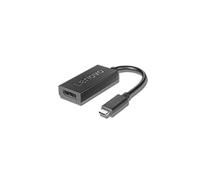 Lenovo 4X90Q93303 Adaptateur Vidéo USB Type-C Mâle vers DisplayPort Femelle, 0.2m, Noir, Connecteurs Droit, Code SH 84733020