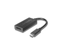 Lenovo 4X90Q93303 câble vidéo et adaptateur 0,2 m USB Type-C DisplayPort Noir