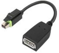 Lenovo 4X90Q93975 Mini-Display Adaptateur [1x - 1x DisplayPort] noir