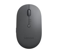 Lenovo Multi-Device - X9 Edition - souris - droitiers et gauchers - optique - 4 boutons - sans fil - 2.4 GHz, Bluetooth 5.0 - récepteur sans fil USB-C - gris tonnerre (dessus), noir tonnerre (bas) - b