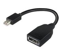 Lenovo - Adaptateur DisplayPort - Mini DisplayPort (M) pour DisplayPort (F) - 17.6 cm - pour ThinkCentre M70; M75t Gen 2; M80; M90; ThinkStation P330 Gen 2; P34X; P350; P520; P620 G