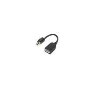 Lenovo - Adaptateur DisplayPort - Mini DisplayPort (M) pour DisplayPort (F) - pour ThinkCentre M75t Gen 2; ThinkStation P320; P330; P330 Gen 2; P348; P520; P620; P720; P920