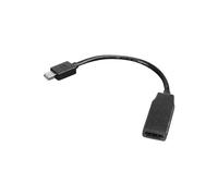 Lenovo Adaptateur Vidéo 0B47089 Mini DisplayPort 1.2 vers HDMI Femelle 0.2m, Résolution 4K (3840x2160) à 30Hz, Noir, Certifié CB/CE/FCC